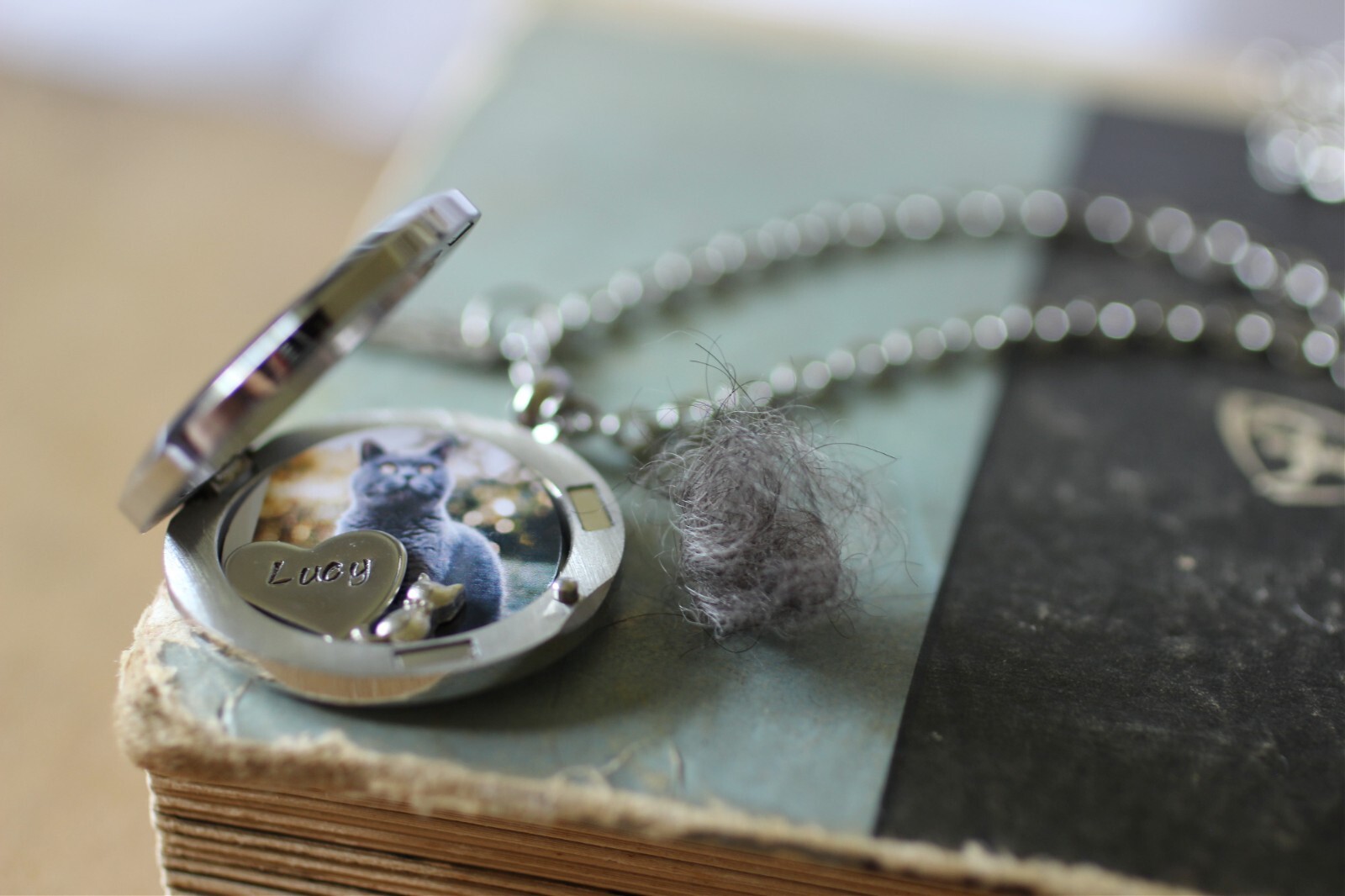 Cat Memorial Necklace, Locket Necklace with A Photo, Cat Fur Keepsake Locket