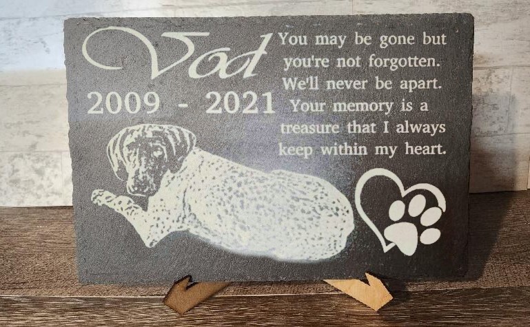 Celebrate Your Beloved Pet’s Legacy in Style!