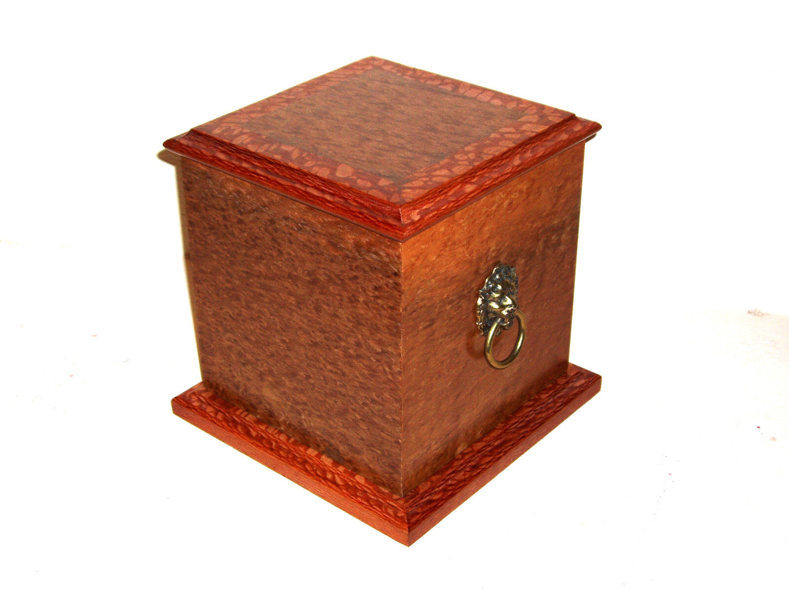 Exotic Eucalyptus Burl Wood Classic Cat Dog Pet Cremation Urn 180 lb Large