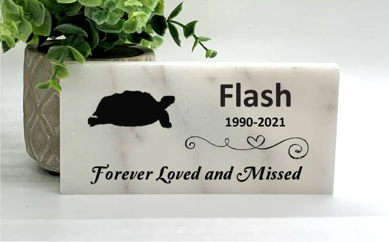 Turtle Memorial – Personalized Pet Memorial Stone – Turtle Loss sympathy Gift