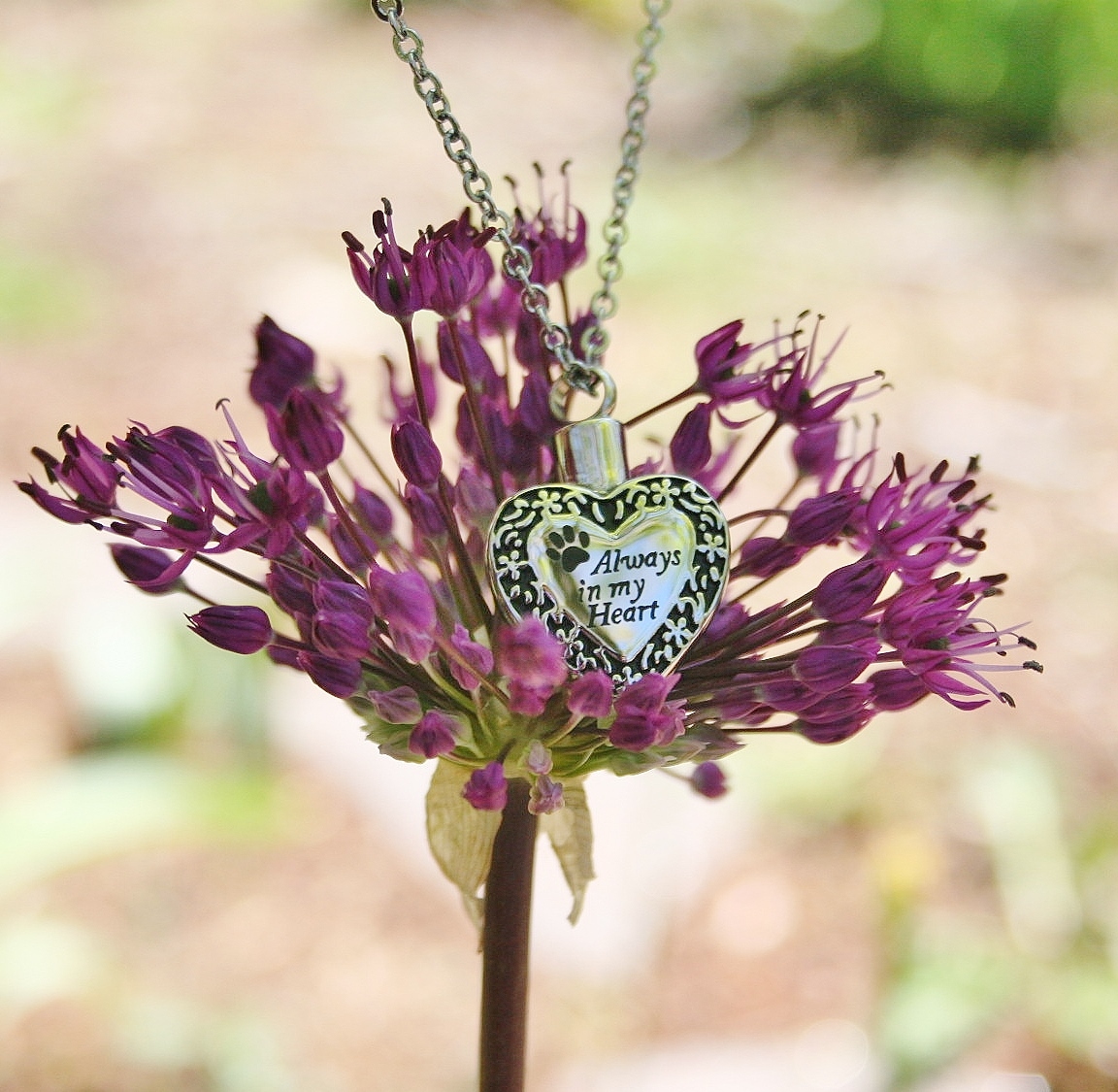 Pet Cremation Necklace Jewelry Pendant Urn Paw Print Always in My Heart Dog Cat