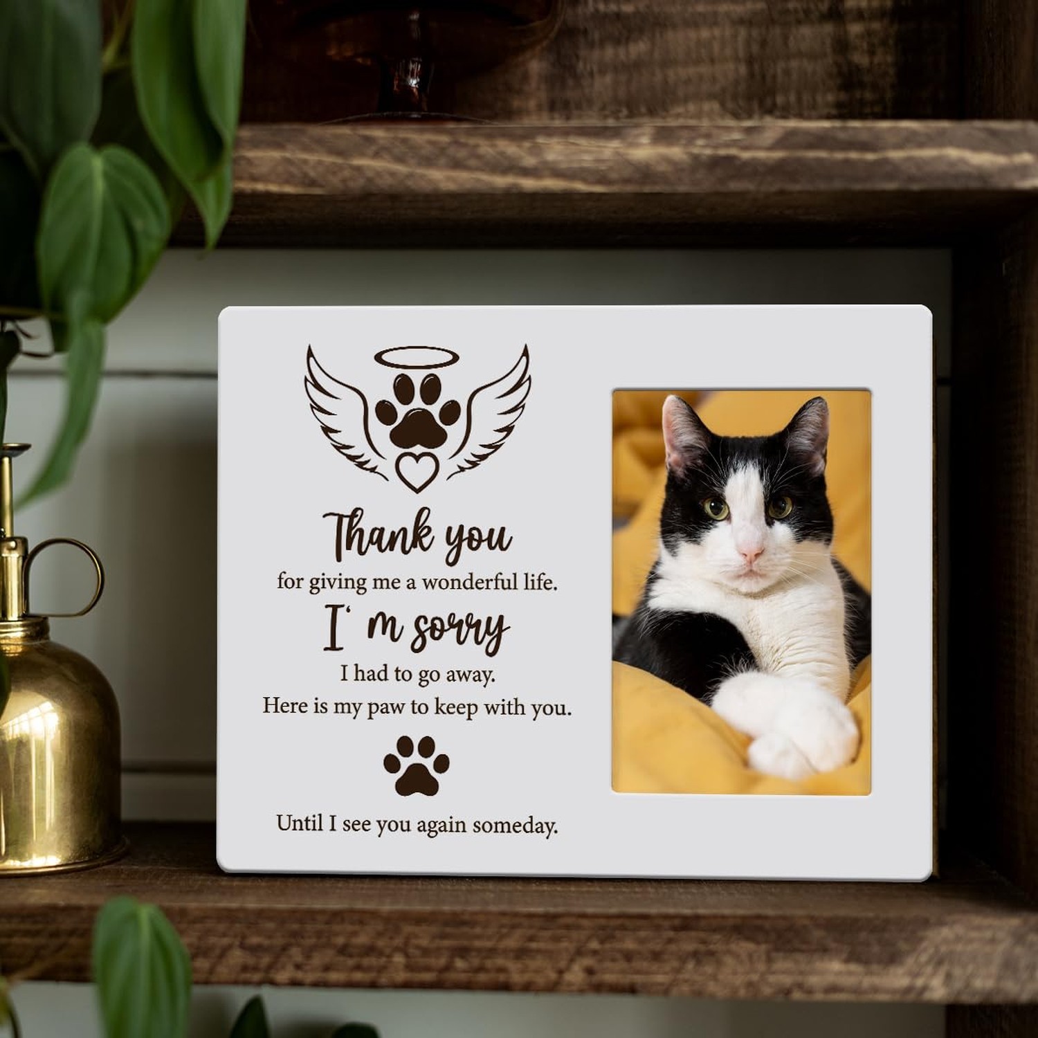 IAXIC Cat Memorial Gifts for Loss of Pet Sympathy Picture Frame, Pet Memory P…
