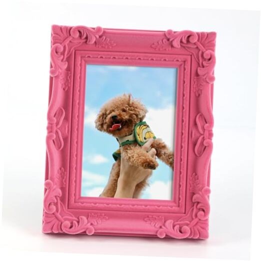 4×6 Pink Picture Frame for Drwaings Prints, Small Colorful 4×6″ S002-Rose Pink