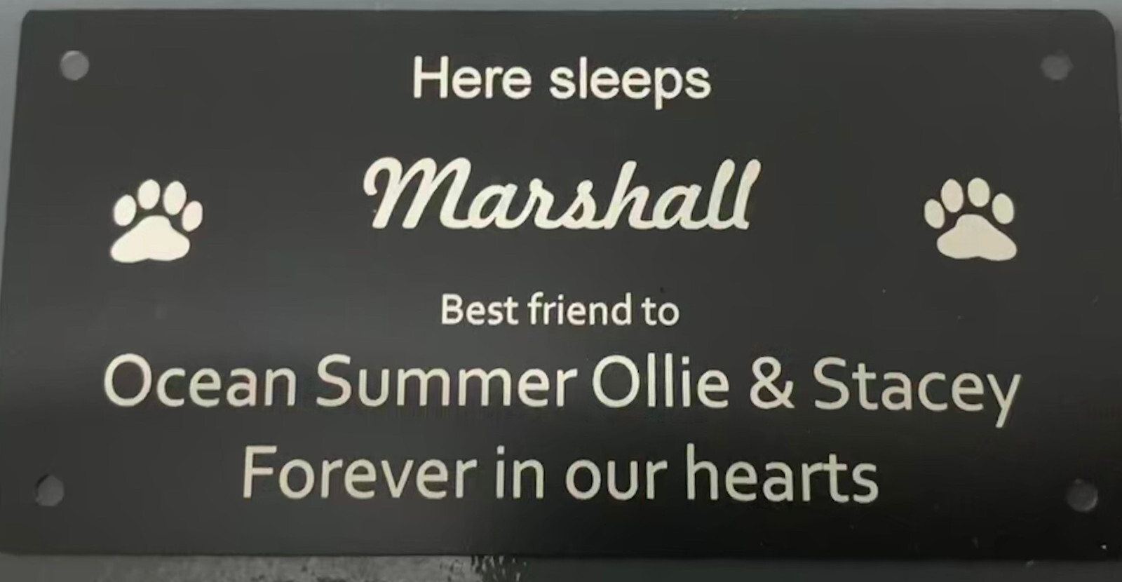 Pet Memorial Plaque (Durablack)