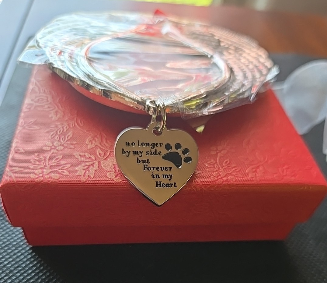 Pet Christmas Ornament Angel Wing Memorial Sympathy Gift Rainbow Bridge Gift X 2