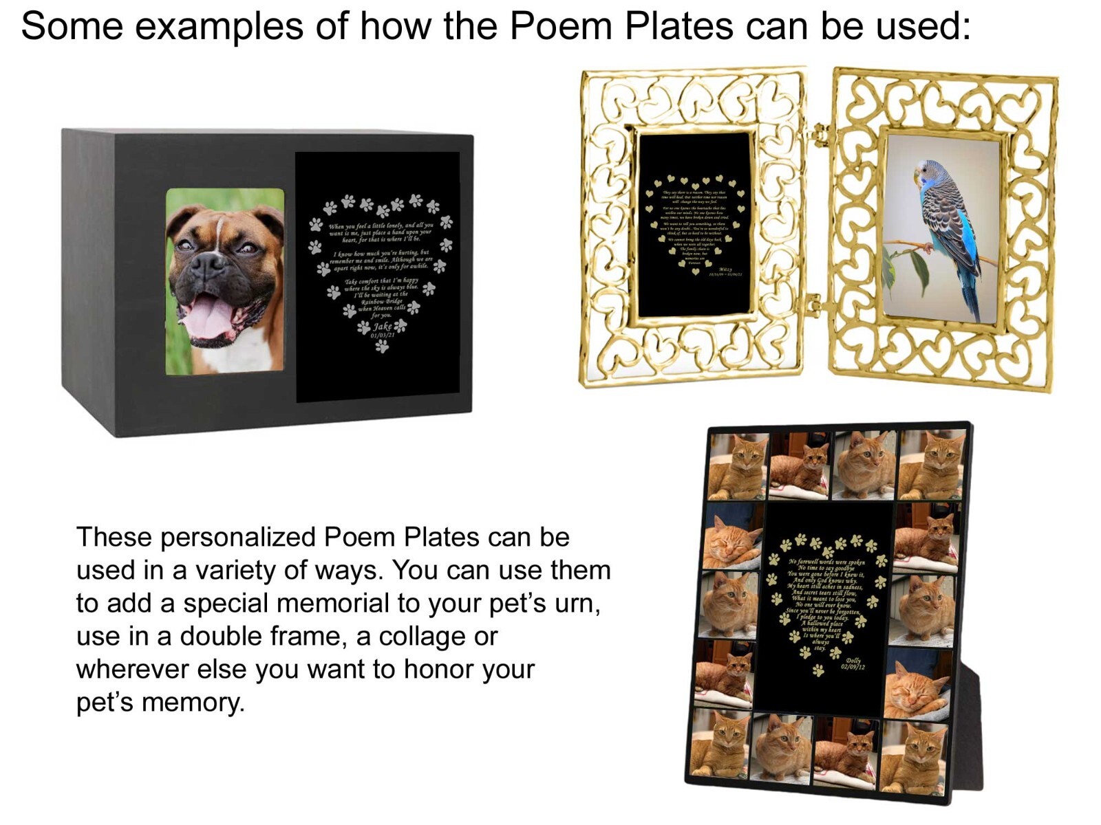 Engraved Pet Plate, Memorial Poem, WE ONLY WANTED YOU 4 Sizes To Choose Dog Cat