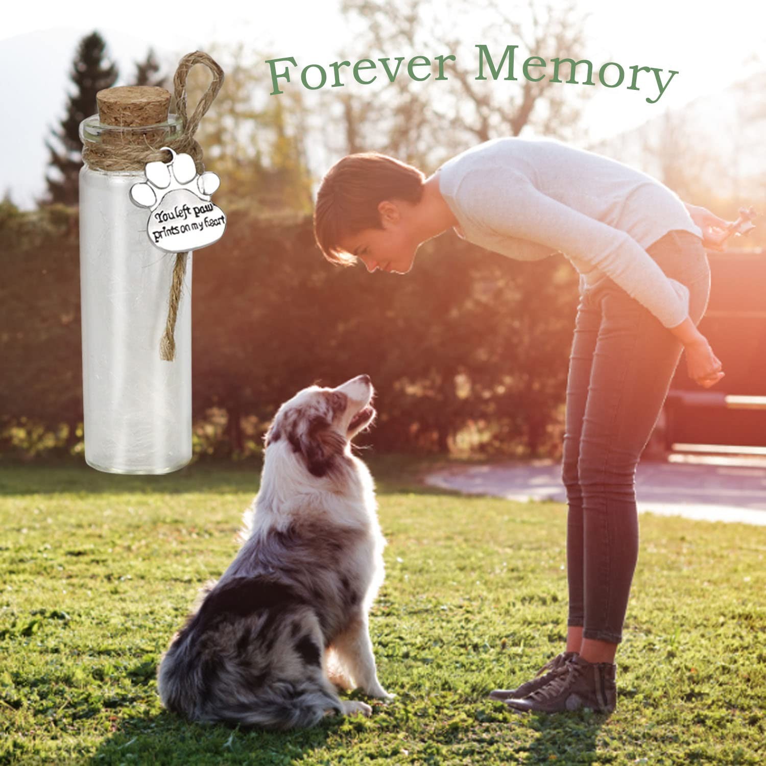 Pet Hair Memorial Bottle, Glass Vial for Ashes Or Hair Dog Or Cat Keepsake Gift