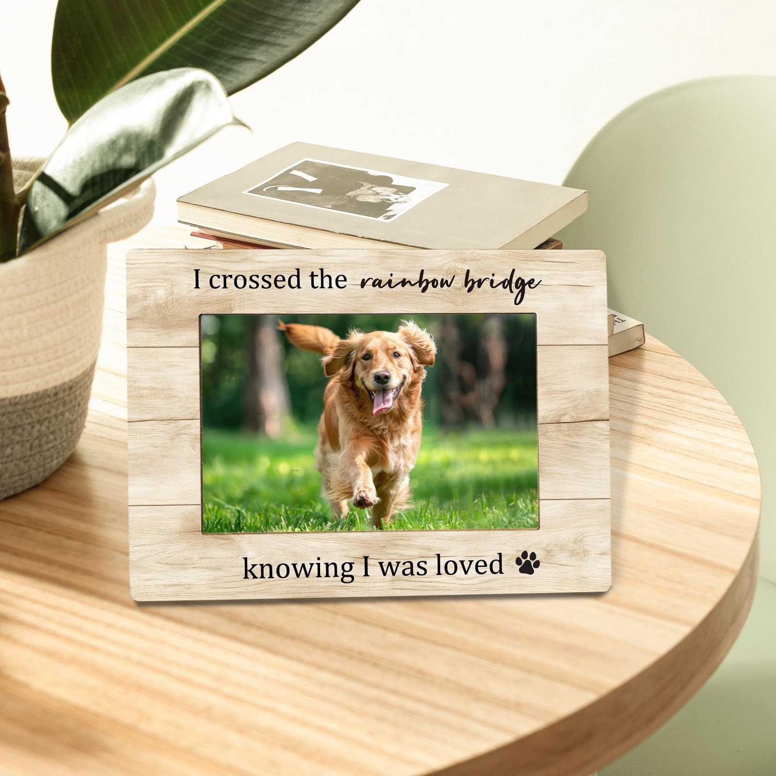 Pet Dog Memorial Picture Frame, Sympathy Bereavement Gifts for Loss of Dog Ca…