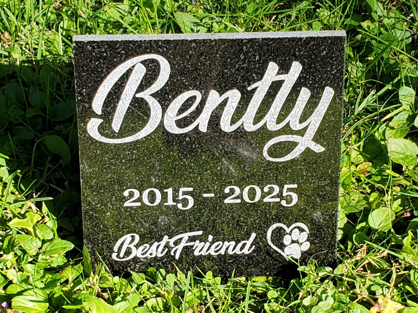 Pet Memorial Grave Marker Headstone Granite Stone Garden Burial Plaque Loved d8