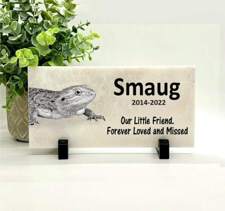 Iguana Memorial – Personalized Pet Memorial Stone – Iguana Loss sympathy Gift