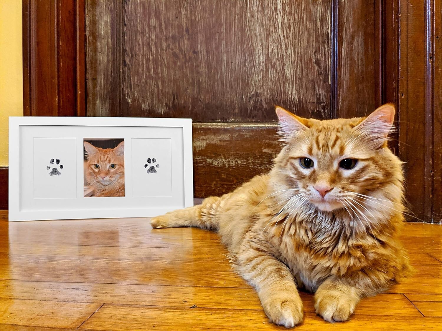 Thoughtful Pet Memorial Frame: Double Picture Display with Large Ink Pad – White