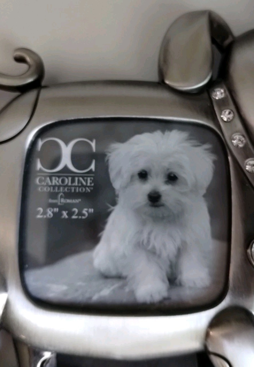 Pet Dog Picture Frame Memorial- Dog Photo Gift. 2.8″ by 2.5.