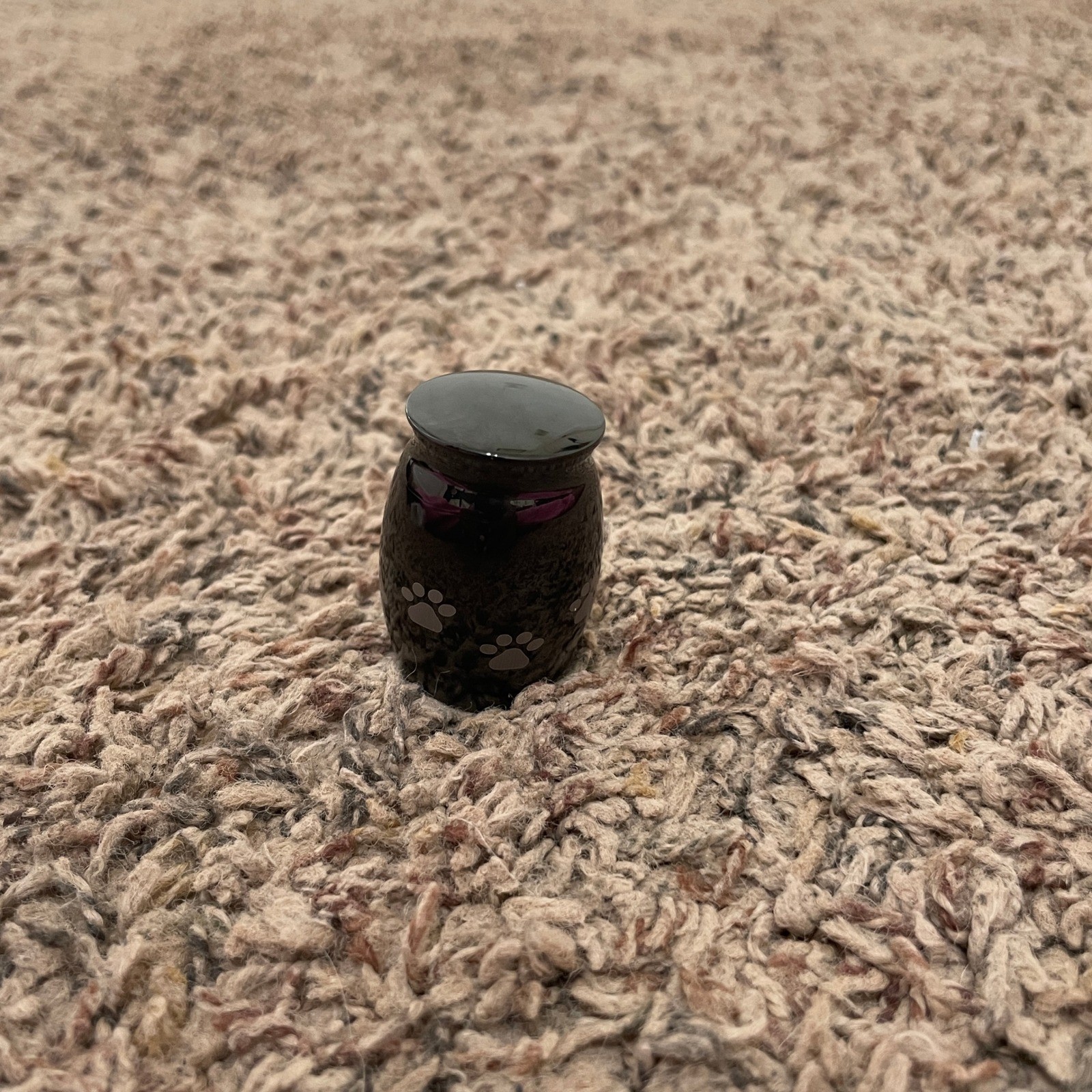 Sunling Mini Pet Keepsake Urn for Ashes Black Metal Paw Print Small Memorial