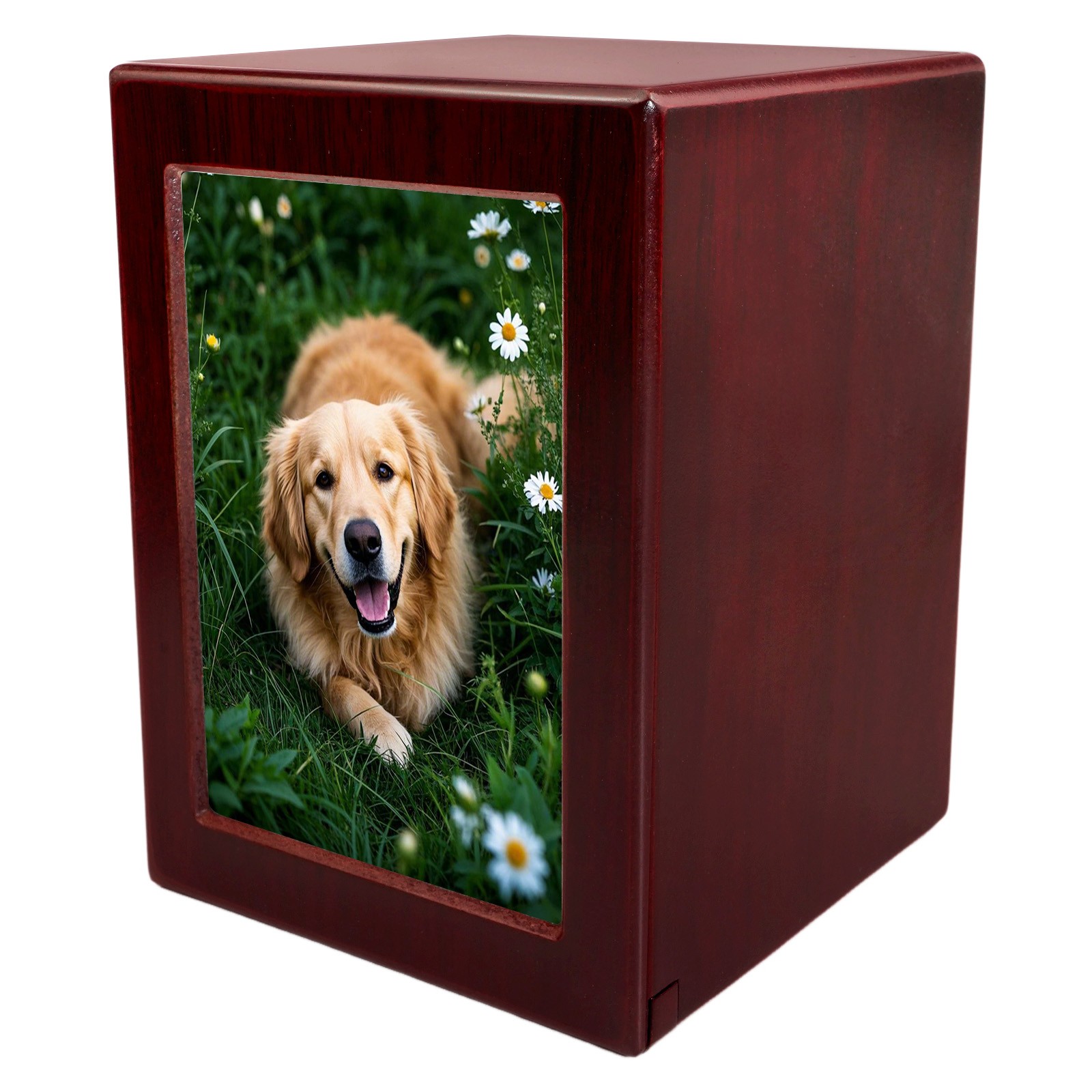 Wooden Funeral Cremation Urn with Photo Frame For Dogs & Cats(Red, L)