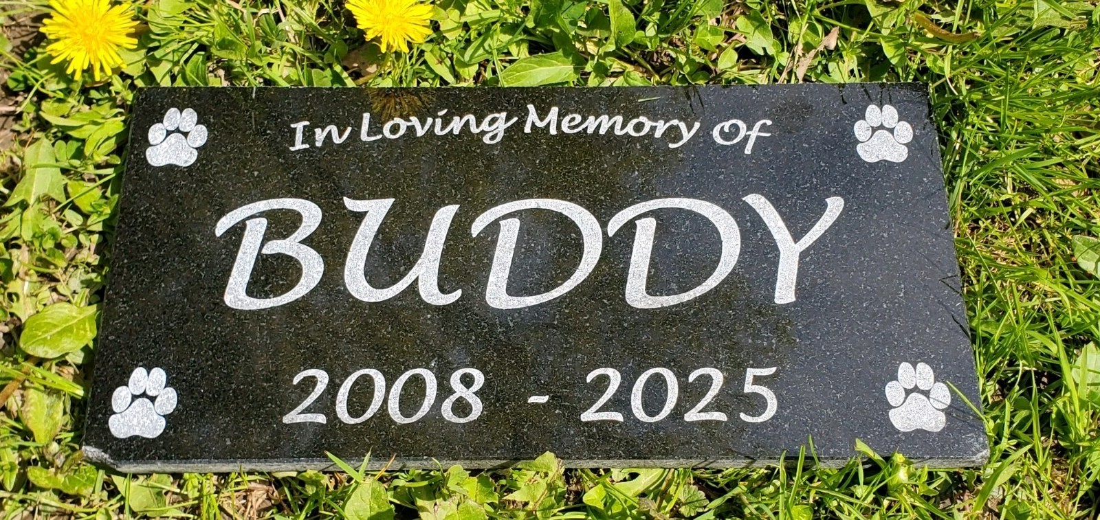 Pet Memorial Grave Marker Headstone Garden Plaque Dog Granite Cemetary Stone t12