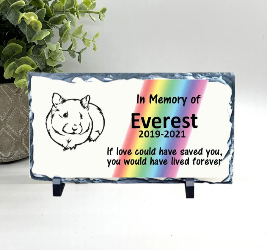 Guinea Pig Rainbow Memorial – Personalized Pet Memorial Stone – Pet Loss Gift