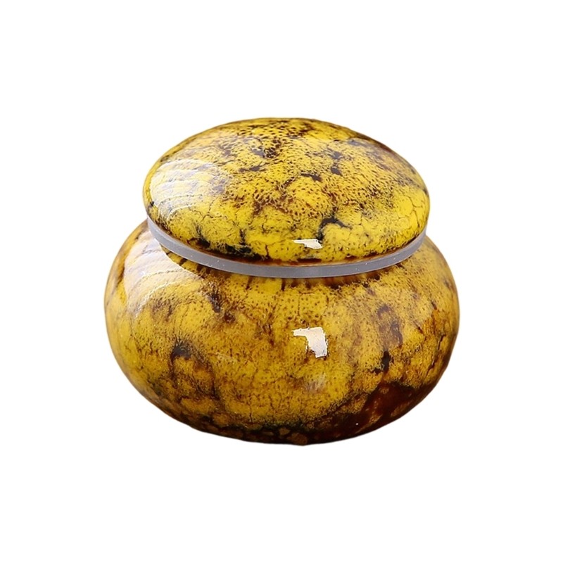 Ceramic Pet Cremation Box Ashes Container Keepsakes Gift Memorial Urn For Ashes