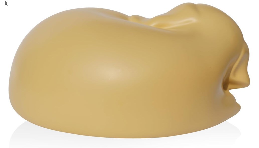 Pet Memorial Urn for Large Brown Dog to 125LBS Golden Retriever Cremation Ashes