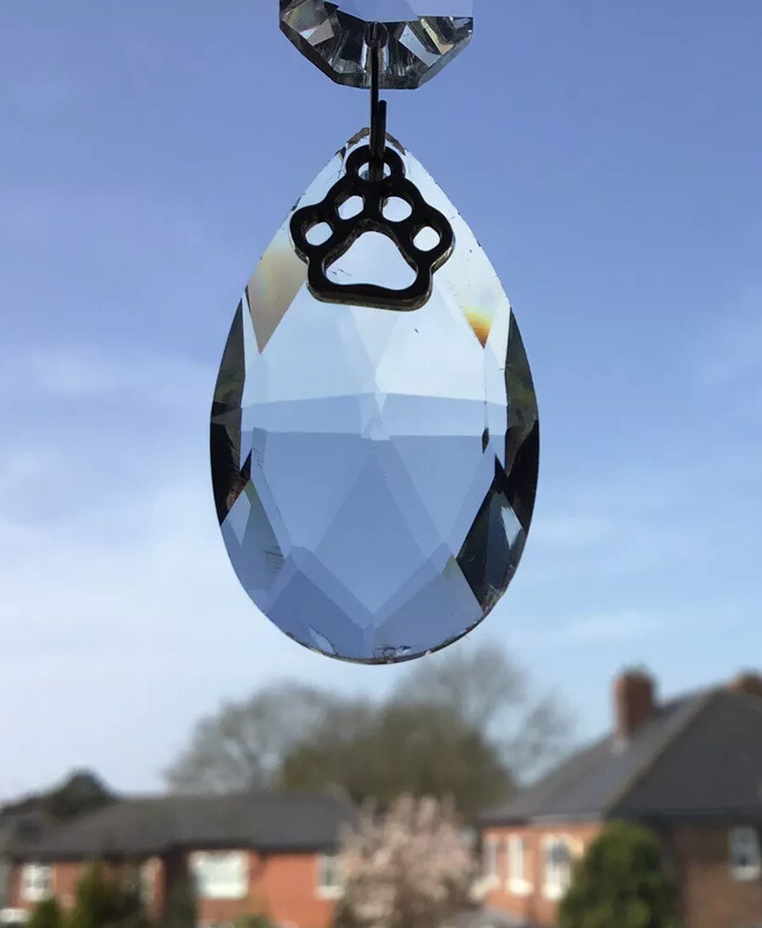 Pet Memorial Loss Sun Catcher In Memory Rainbow 🌈Bridge Poem Friend Gift