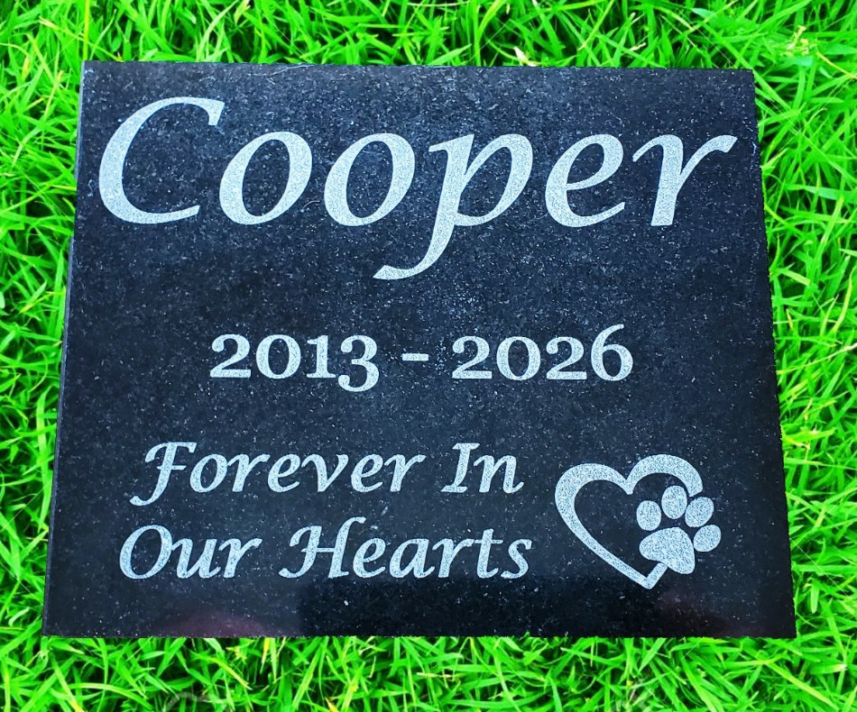 Granite Dog or Cat Pet Memorial Burial Grave Stone Garden Headstone Marker A3