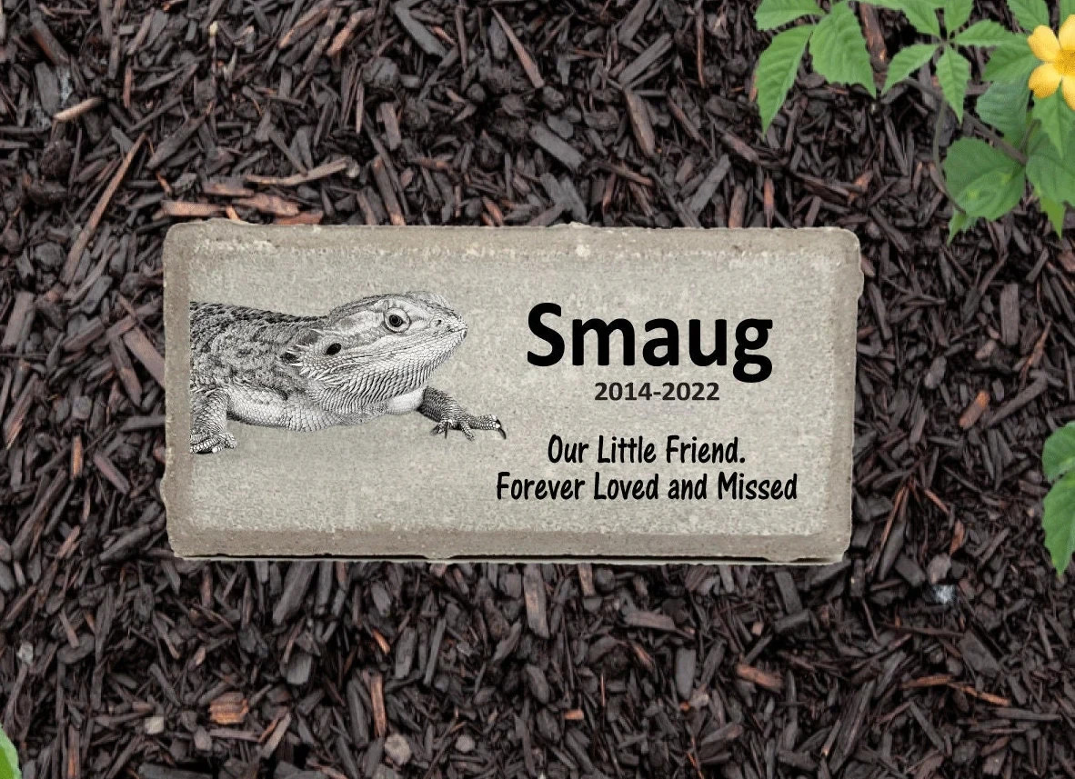 Iguana Memorial – Personalized Pet Memorial Stone – Iguana Loss sympathy Gift
