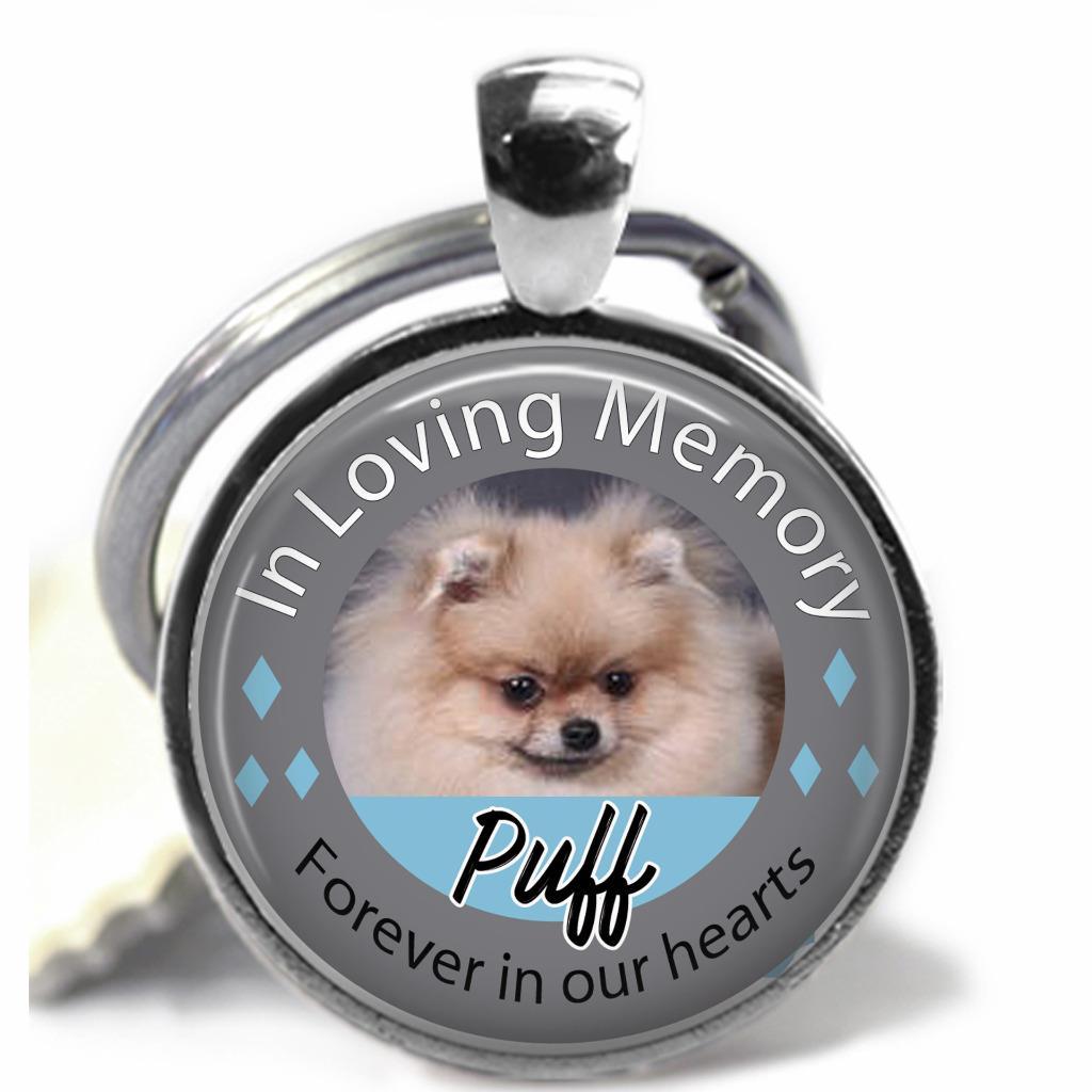 Personalize Pet Memorial Keepsake Glass Top Pendant Style Clip On Key Chain