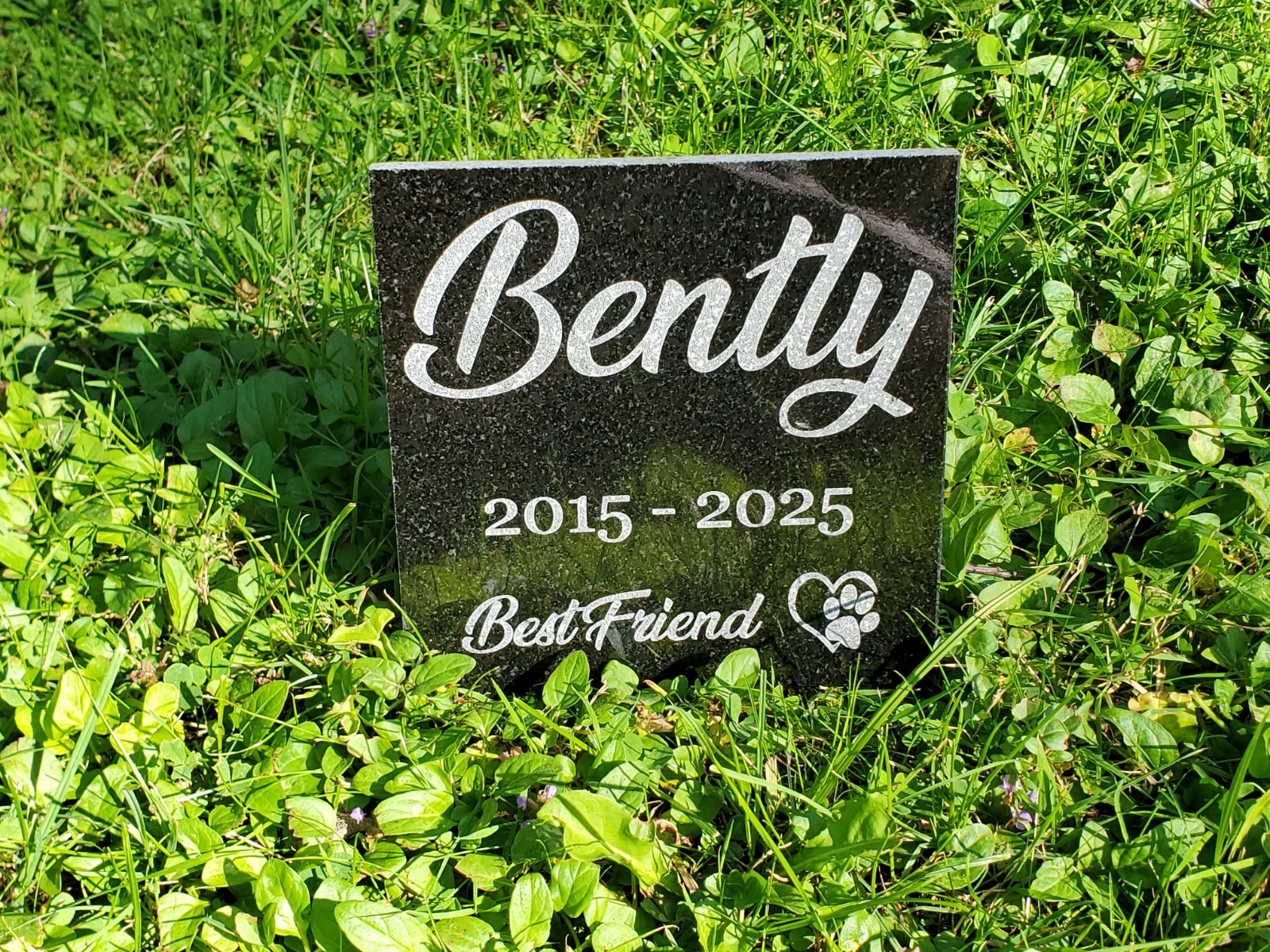 Pet Memorial Grave Marker Headstone Granite Stone Garden Burial Plaque Loved d8