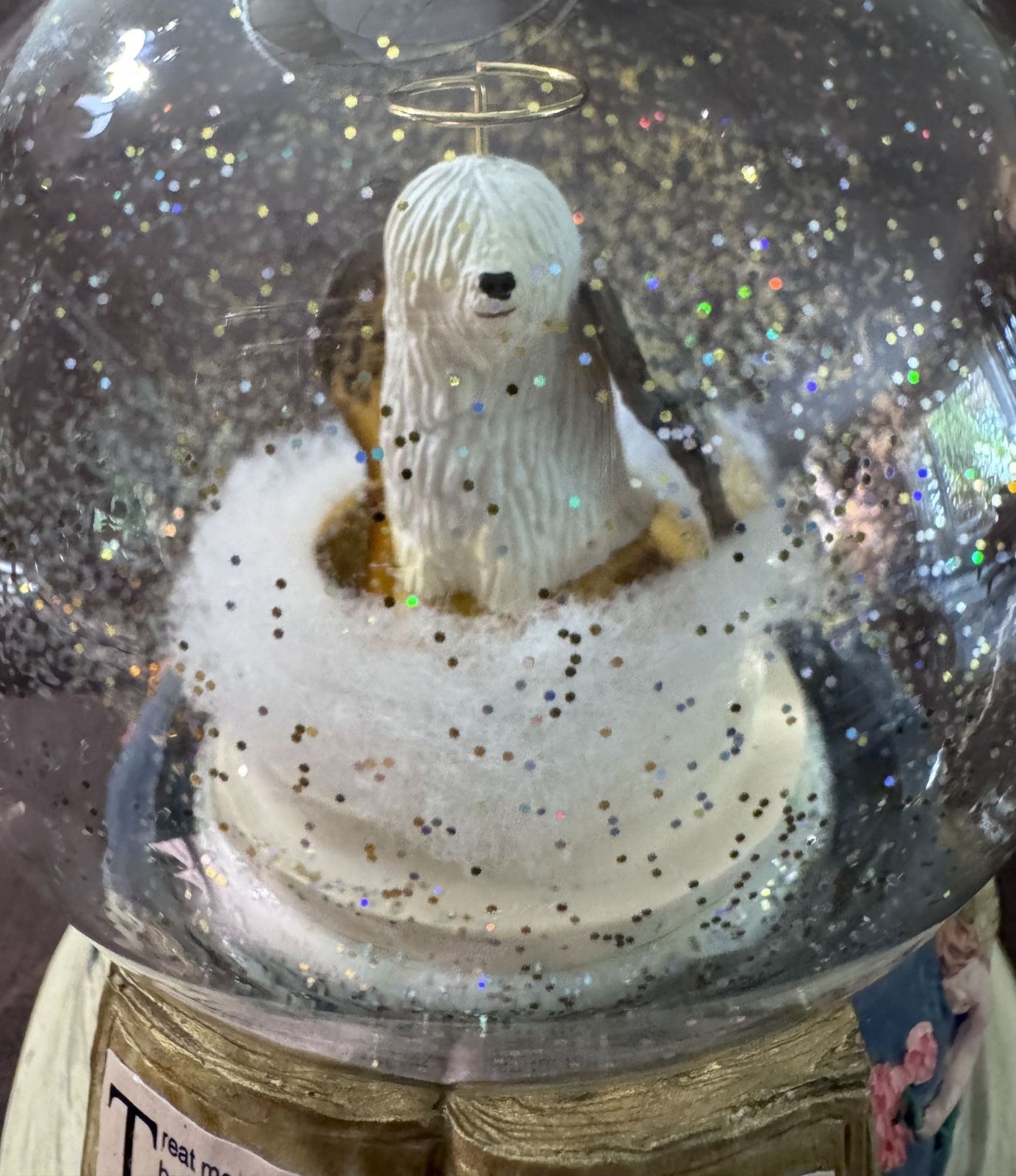 Pet Memorial Music Globe Rainbow Bridge Angel Dog Sympathy Gift