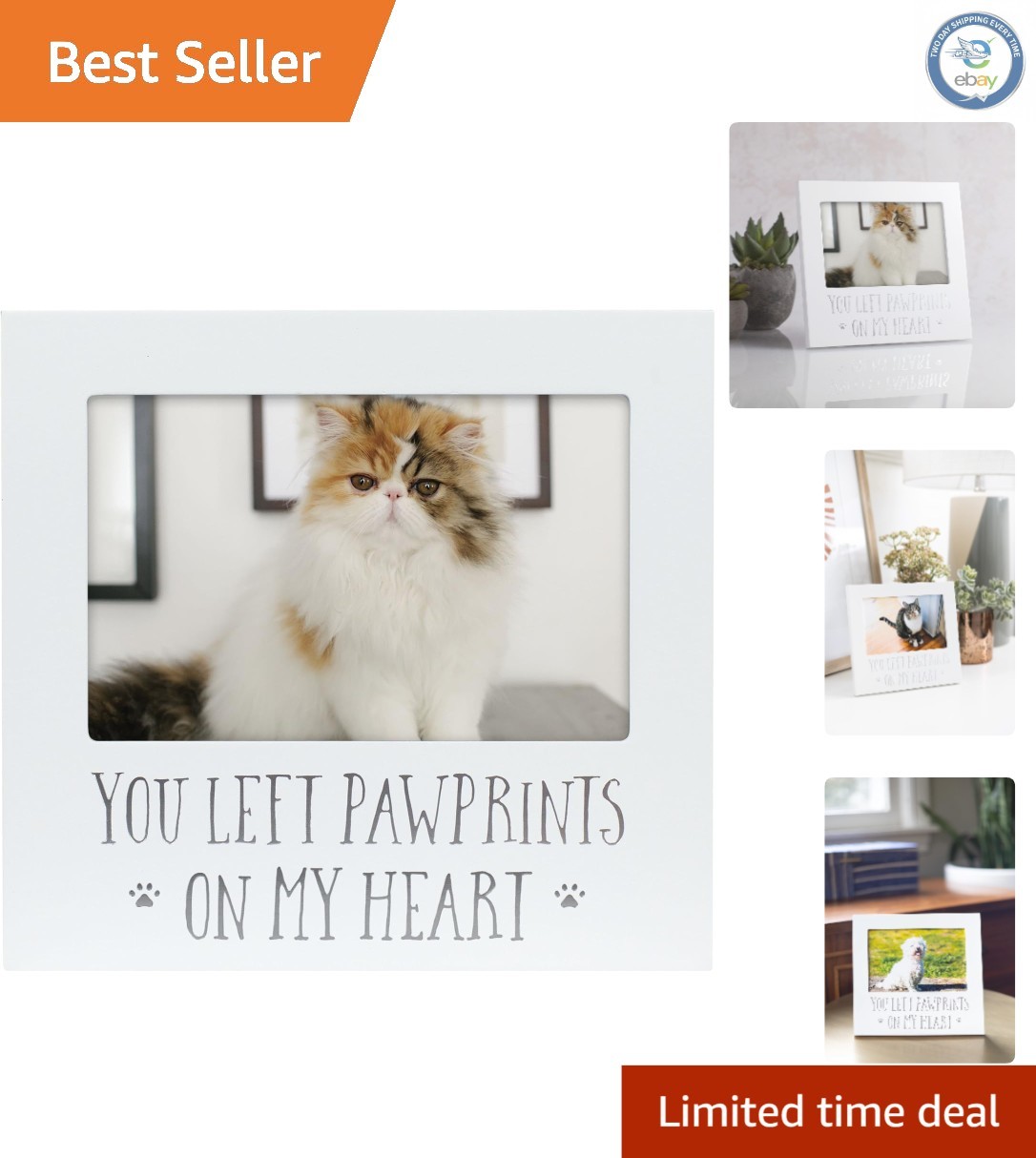 Timeless 4×6 Pet Memorial Picture Frame – A Heartfelt Tribute to Lost Companions