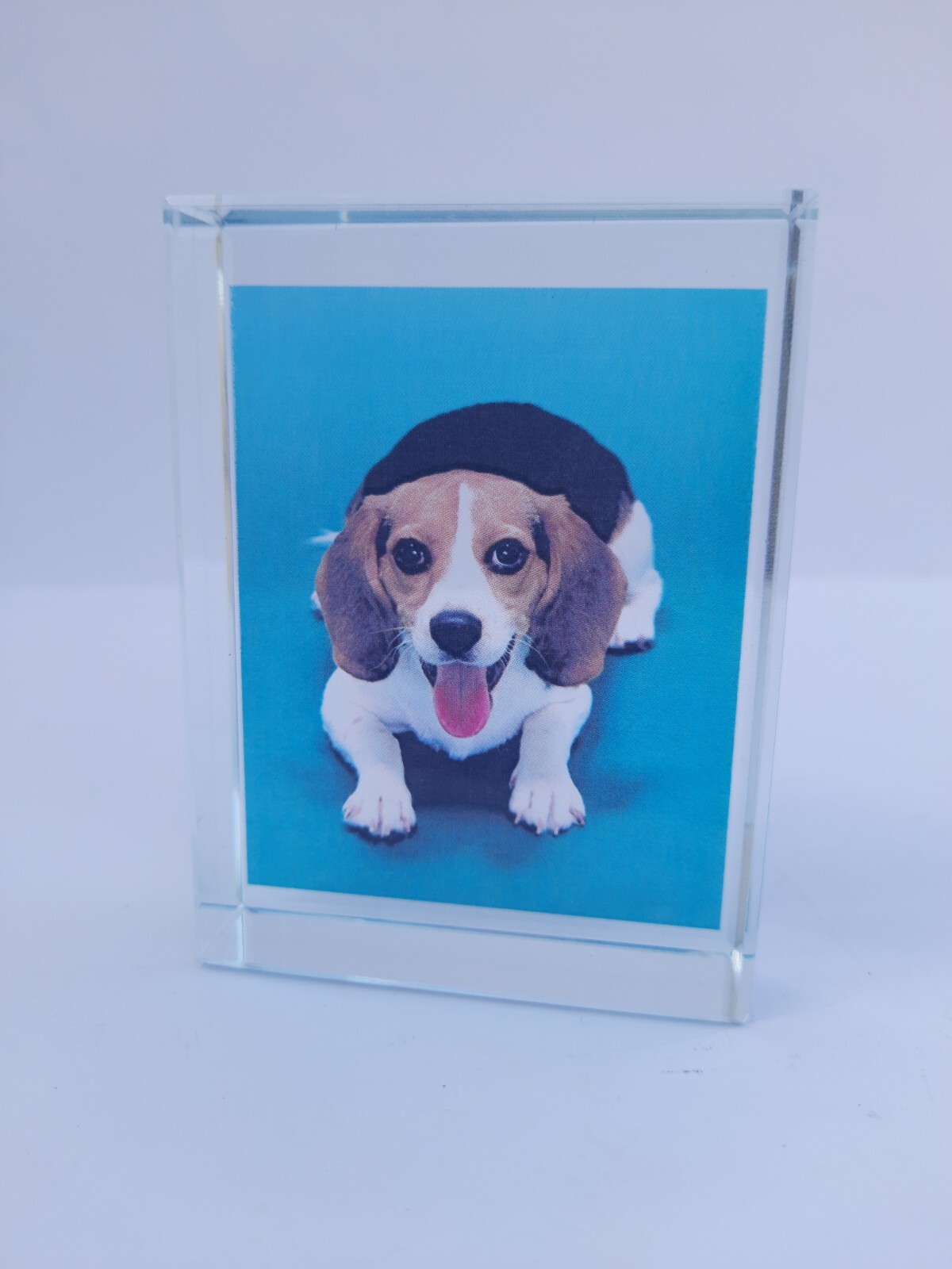 crystal,Personalized Sympathy Tribute Gift Customized For Lost of a Dog