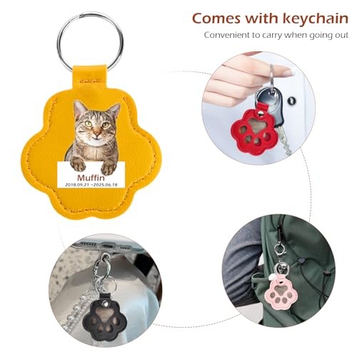Pcs Pet Hair Keychain, Pet Paw Print Leather Keychain, Pet 6 Pet Fur Keepsake