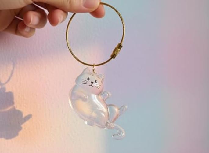 Cat/Dog Hair Collector Keychain Charm Memorial Bottle Memorial Storage Cat 5