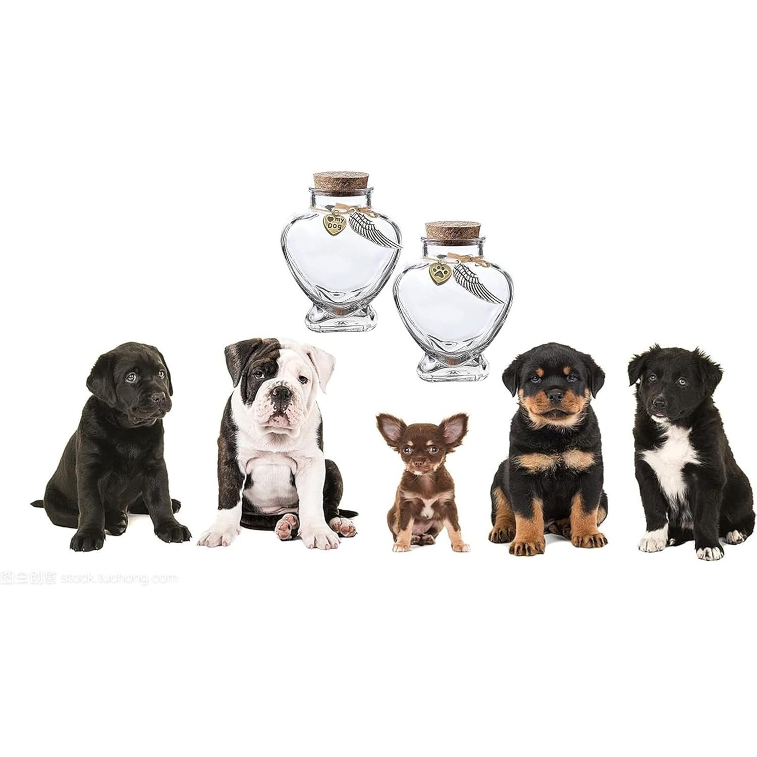 NEW Loving Pet Memorial Glass Vial – Keepsake for Ashes & Fur