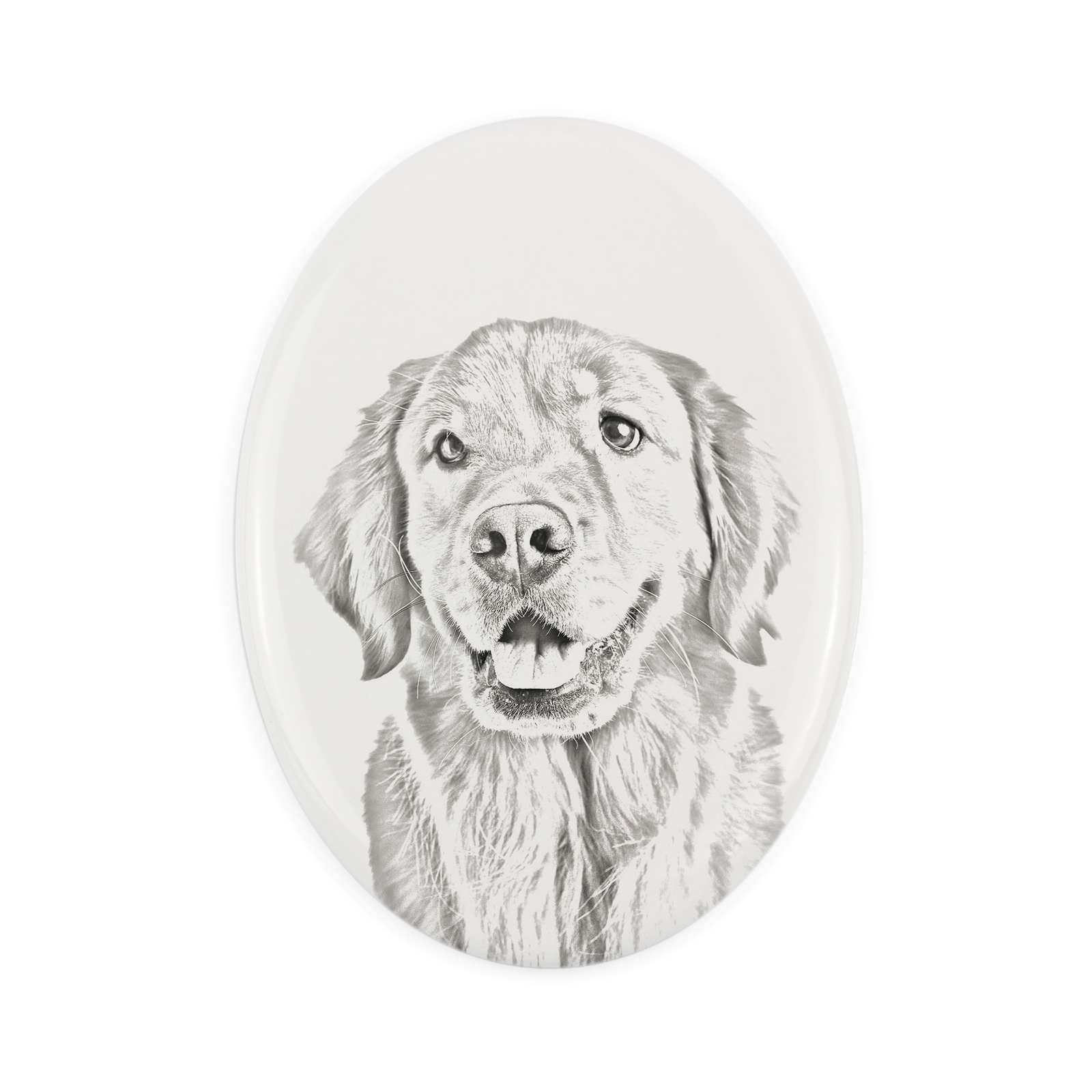 Golden Retriever Grave Plate With A Photo Of A Dog Art-Dog