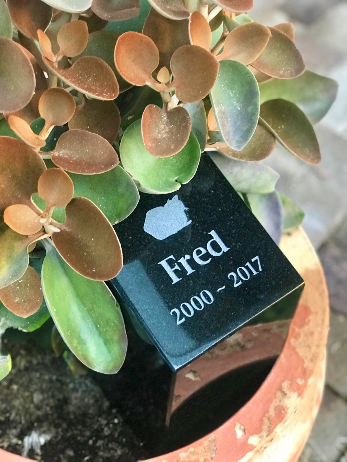 Outdoor Pet Urn – Polished Black Granite – Personalised