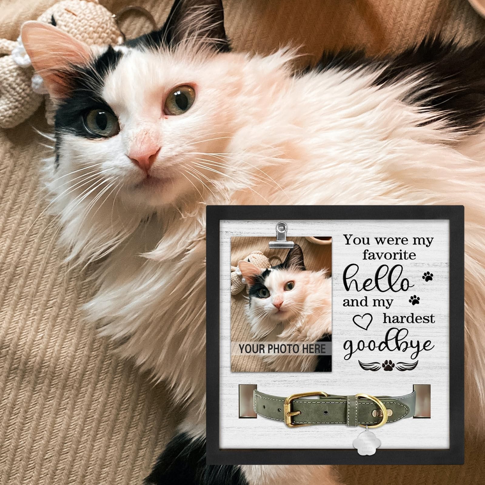 Dog Memorial Gifts for Pet Loss, Sympathy Frame with Collar Holder, Cat Remembra