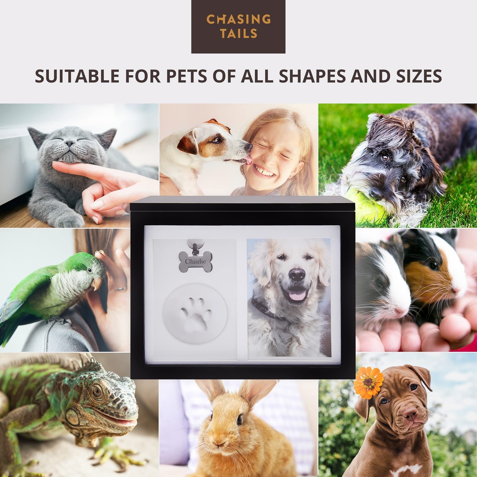 Chasing Tails Keepsake Pet Urns for Dogs Ashes – Wooden Memorial Dog Urns for…