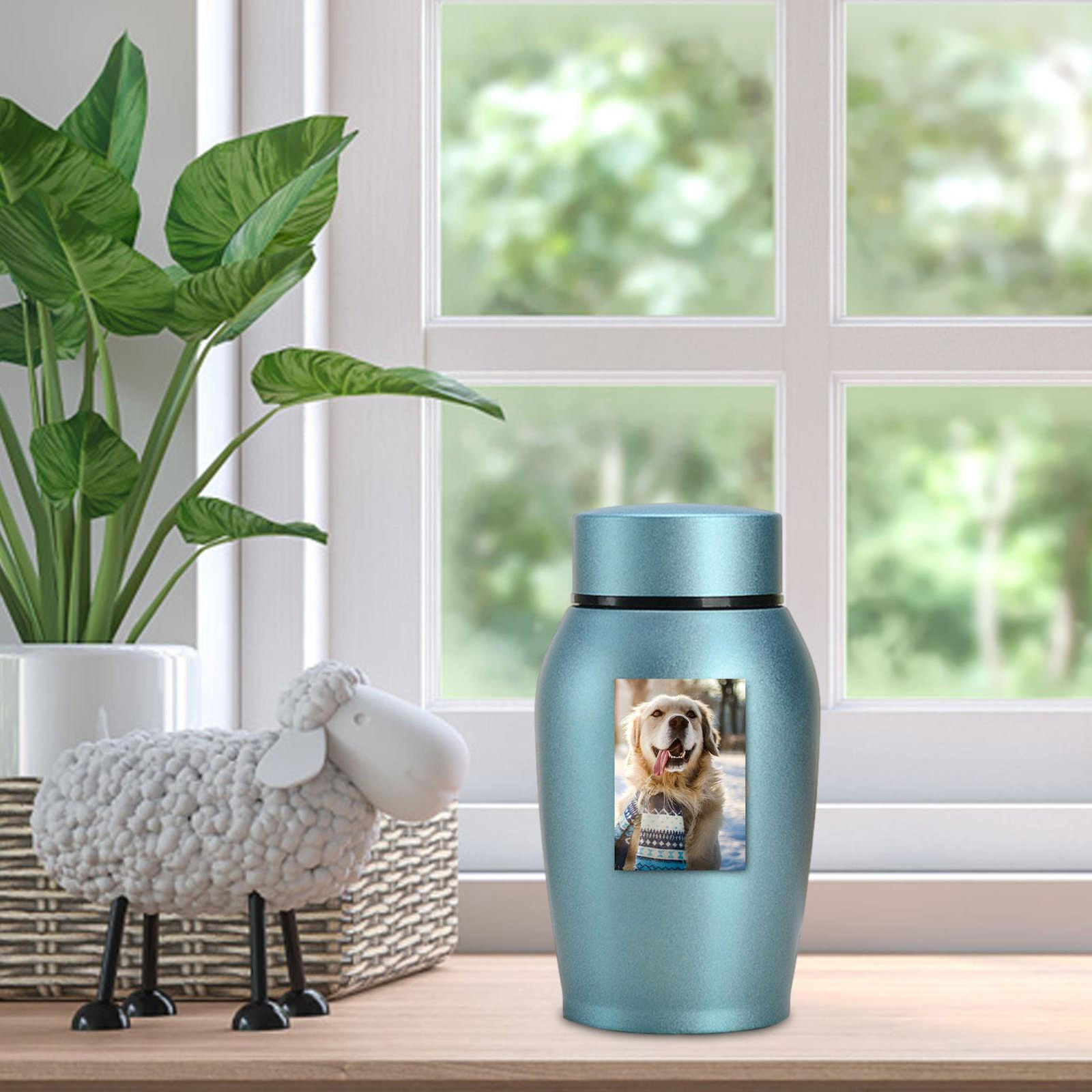 Small Cremation Urn Jar Holder Keepsake for Human Pet Ashes Memorial Funeral Box