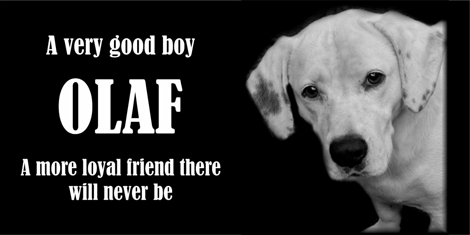 Personalized Pet Stone Memorial Grave Marker Granite Plaque Human headstone