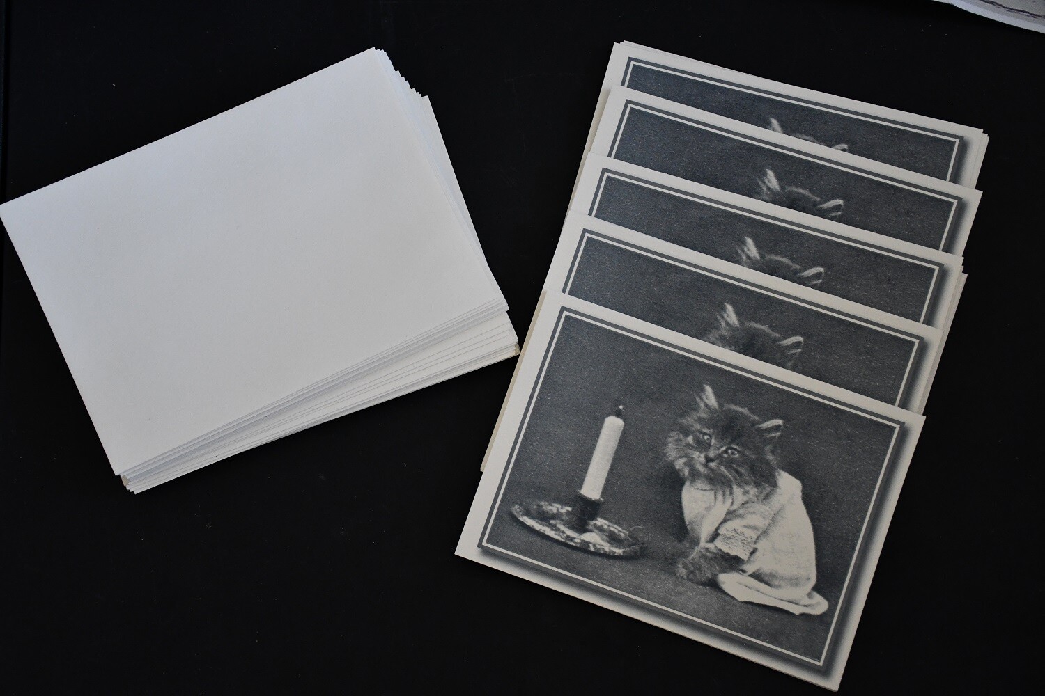 25 Cat Dog Veterinary Pet Business SYMPATHY Cards High Quality Envelope 5×7 SALE