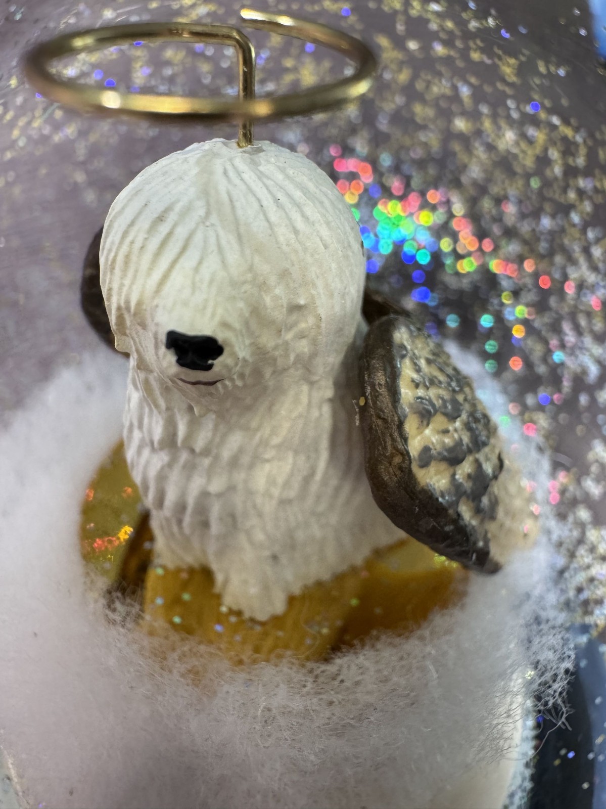 Pet Memorial Music Globe Rainbow Bridge Angel Dog Sympathy Gift