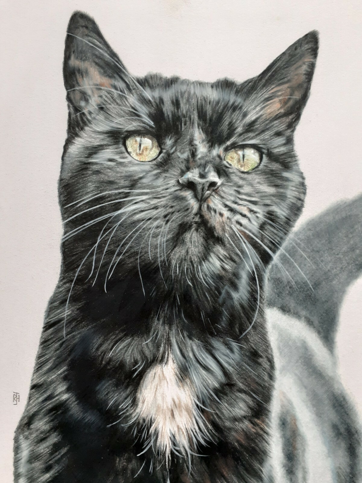Pet Portrait A4 – Hand drawn, custom made, unique personalized gift