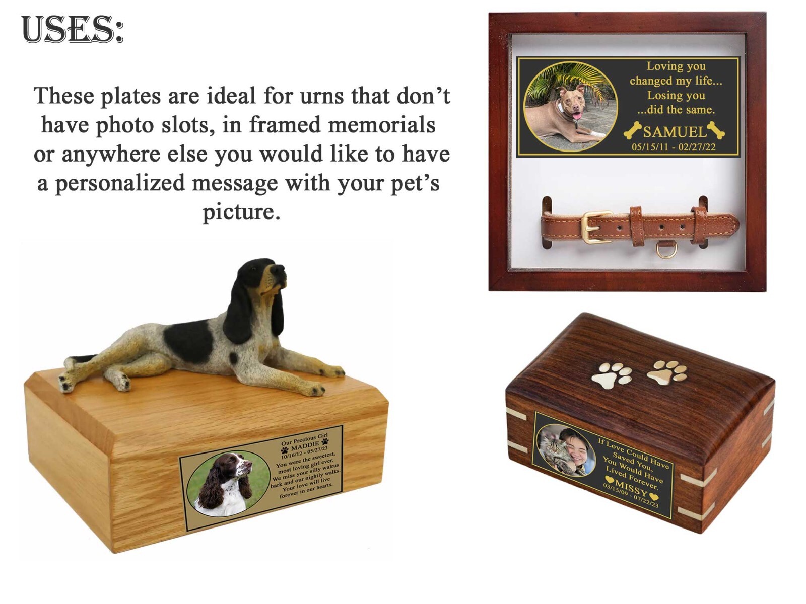 Custom Engraved Photo Frame Name Plate, Pet Loss Memorial Plaque, Dog, Cat, Any