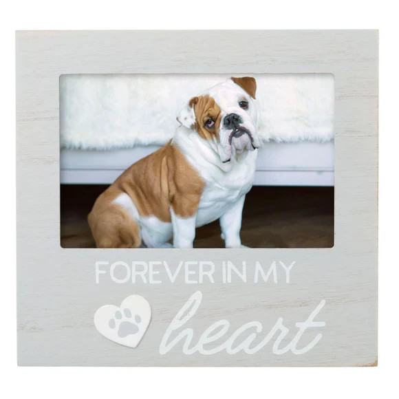 Pearhead Pet Forever In My Heart Memorial Keepsake Picture Frame, Color Varies