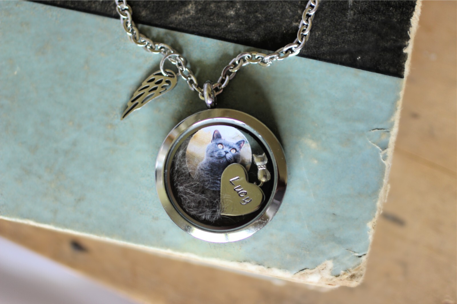 Cat Memorial Necklace, Locket Necklace with A Photo, Cat Fur Keepsake Locket