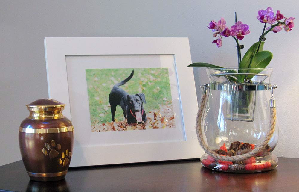 Trupoint Memorials Small Pet Urn for Dogs and Cats Ashes – A Loving Resting Pla