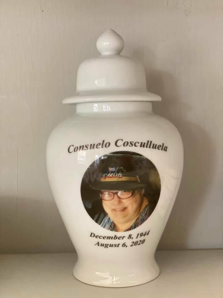 8″ Photo Picture Pet Dog Cat Cremation Memorial Urn Personalized
