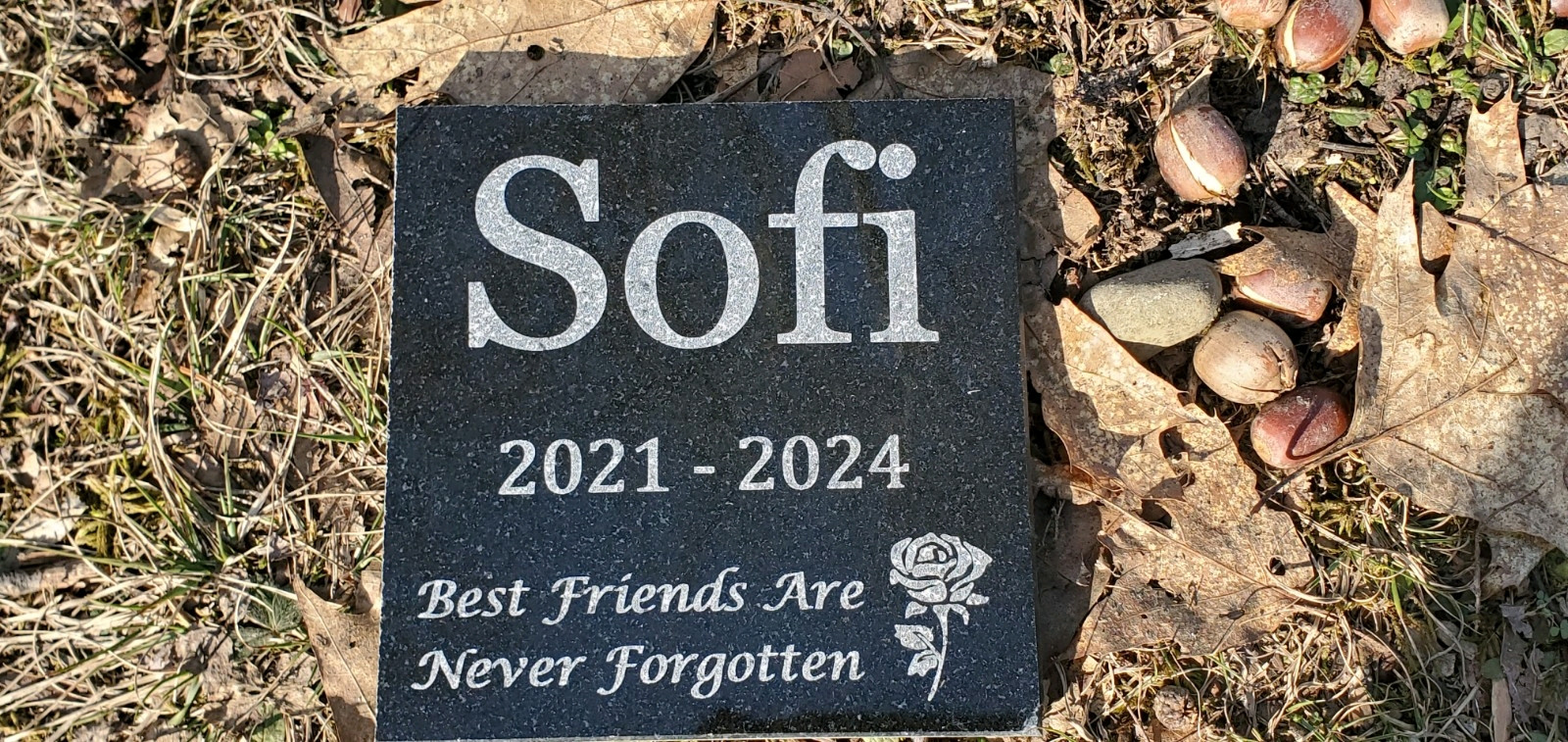 Pet Memorial Grave Stone Marker Headstone Custom Granite Garden Plaque Gift d4