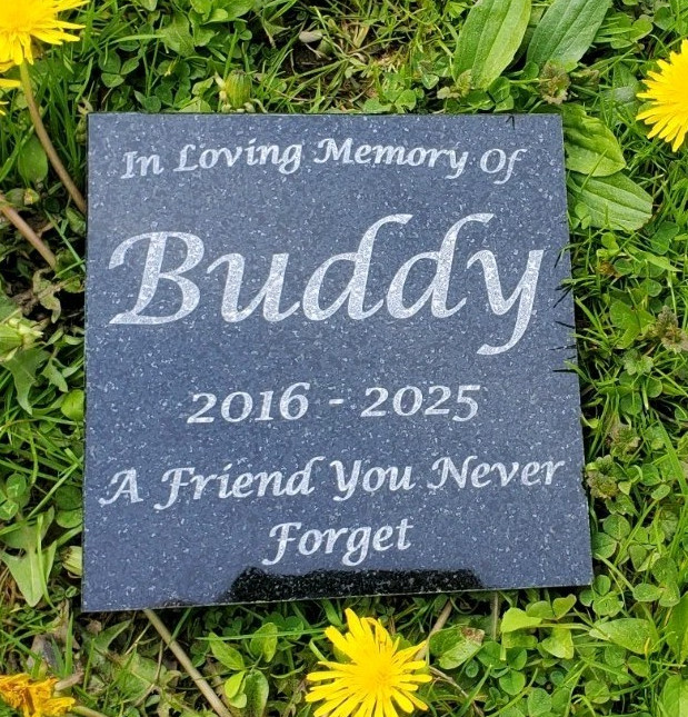 Pet Memorial Granite Stone Engraved Grave Marker Headstone Garden Plaque d6