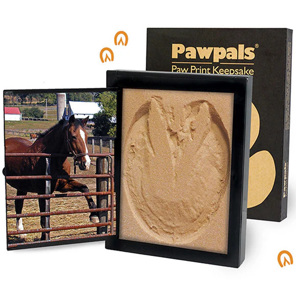PawPals Paw Print Keepsake Classic Mold Kit – BRAND NEW (LARGE)
